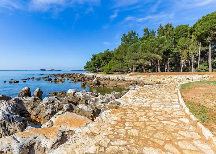 Carpe Diem * Ρόβινι