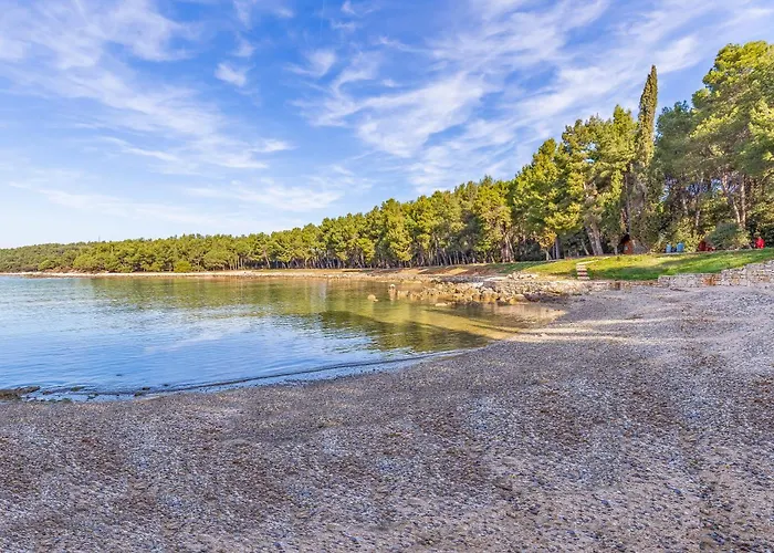 Carpe Diem Διαμέρισμα *